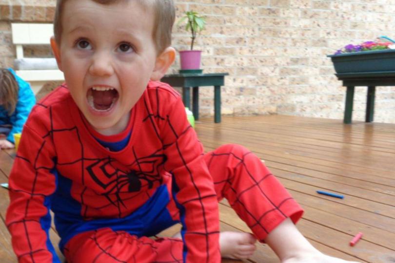 Police say today is a "critical day" as the search for missing three-year-old William Tyrrell enters its third day on the New South Wales mid-north coast.
The boy, dressed in a Spider-Man costume, was playing with his sister outside his grandmother's house at Kendall, south of Port Macquarie, when he disappeared on Friday morning.
William Tyrrell