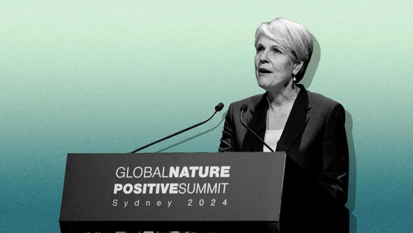 Tanya Plibersek used her speech at the inaugural summit as a victory lap of the Albanese Government’s nature positive agenda, despite the centrepiece Environmental Protection Agency legislation remaining stuck in the Senate, still without support from the Greens or the Coalition.

