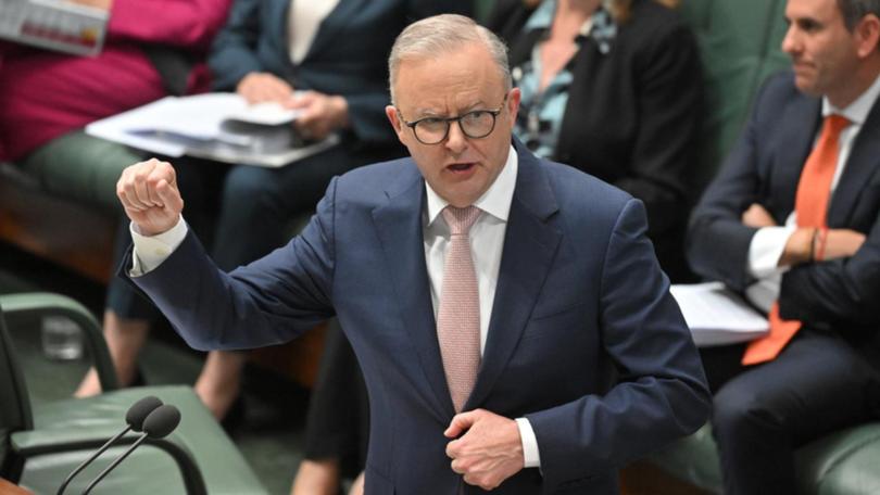 Prime Minister Anthony Albanese is seeking to make the NBN's ownership an election issue.