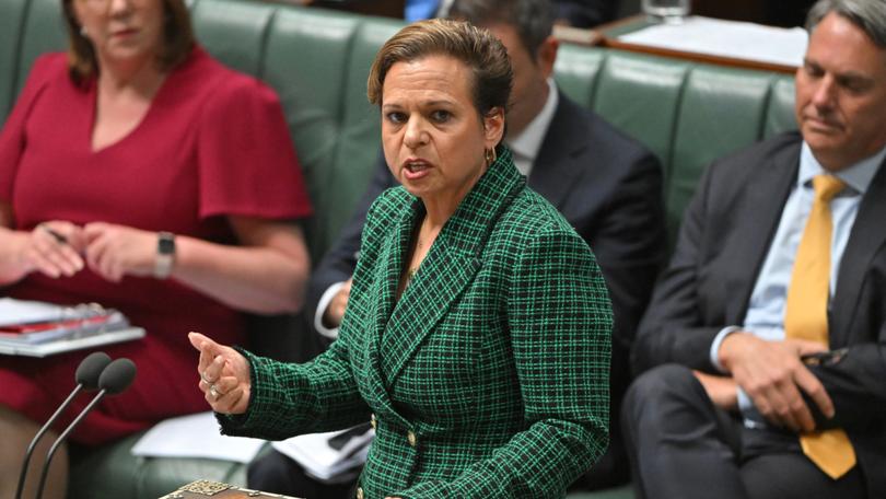 Communications Minister Michelle Rowland will reveal on Friday the legislation promised before the end of the year will put the onus for the ban on platforms, not parents or young people.