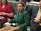 Communications Minister Michelle Rowland will reveal on Friday the legislation promised before the end of the year will put the onus for the ban on platforms, not parents or young people.