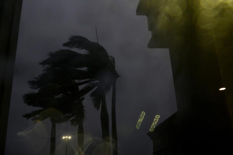 Palm trees blow in the wind as Florida feels the effects of Hurricane Milton.