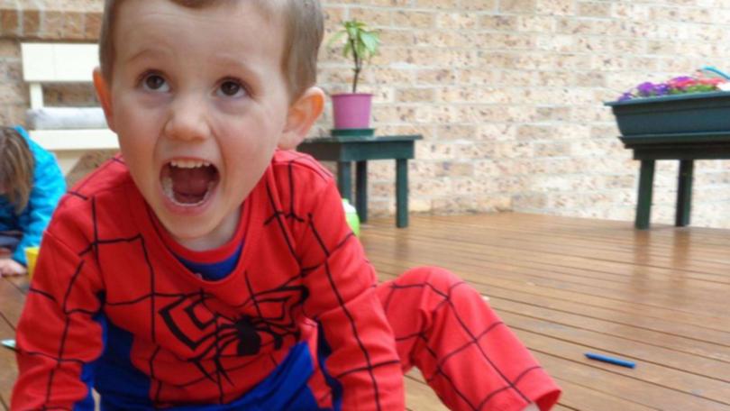 William Tyrrell was last seen (dressed in a Spider-Man costume) outside his foster grandmother's house at Kendall when he disappeared on September 12, 2024.