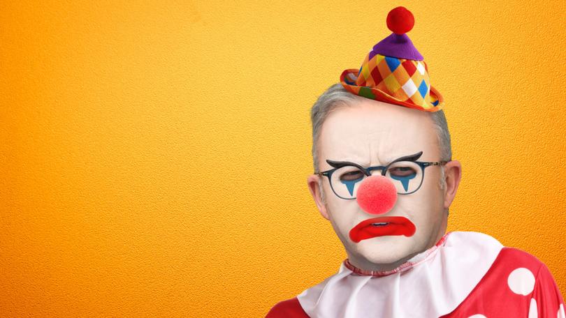 CAMERON MILNER: Without the Labor caucus actually cancelling the show and sacking the chief clown, Australians are destined to endure even more stupid acts from the Labor circus. 