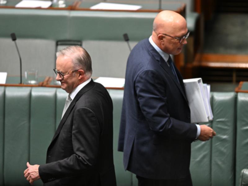 Anthony Albanese and Peter Dutton in parliament