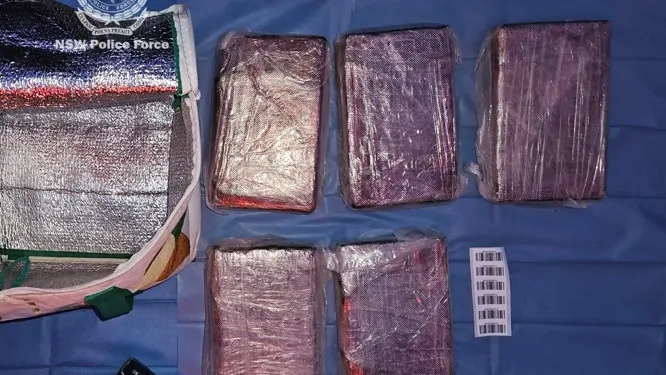 Massive NSW and QLD police bust nets over $9.2 million in drugs, cash ...