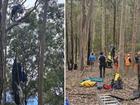 A skydiver has been rescued after crashing into a tree on the NSW south coast.