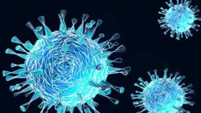 As the public heads into another viral season, health experts said the findings highlight how the virus continues to reveal new ways to pose detrimental long-term consequences.