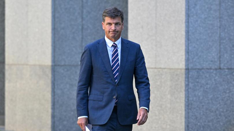 Shadow Treasurer Angus Taylor