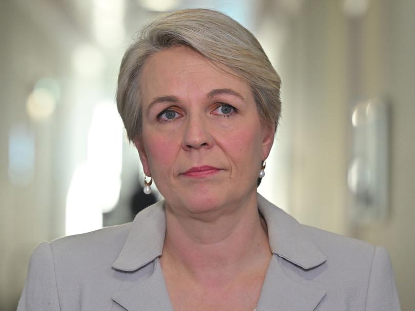 Minister for Environment Tanya Plibersek speaks to journalists in the Press Gallery at Parliament House in Canberra, Monday, June 24, 2024. (AAP Image/Mick Tsikas) NO ARCHIVING