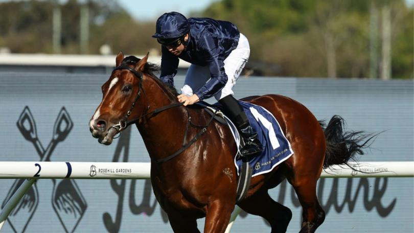 Storm Boy is one of four three-year-olds in The Everest.