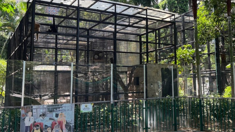 Parts remain closed of the Hong Kong zoo where 11 monkeys have now died.