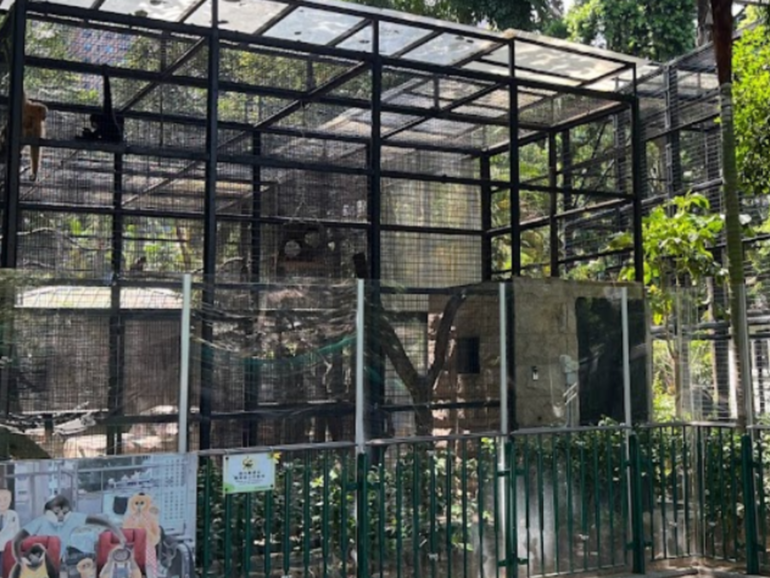 Parts remain closed of the Hong Kong zoo where 11 monkeys have now died.