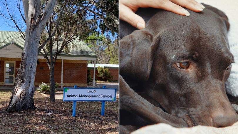 The facility said it announcement it had made the ‘difficult but necessary decision’.