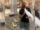 Mickey the cockatoo has been successfully rescued after spending four weeks inside a Supermarket in western Sydney. 