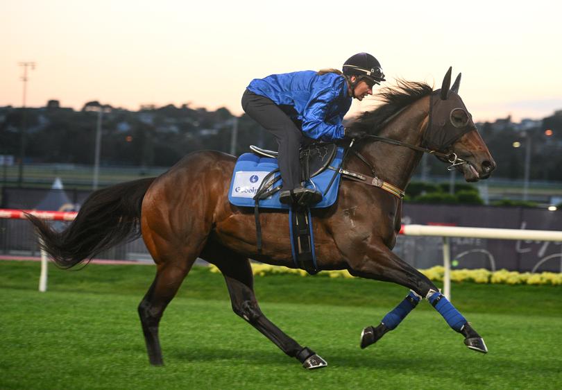 MELBOURNE, AUSTRALIA - OCTOBER 17: Jamie Kah riding Cox Plate runner Broadsiding during trackwork at Moonee Valley Racecourse on October 17, 2024 in Melbourne, Australia. (Photo by Vince Caligiuri/Getty Images)