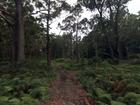 Police end search for mystery missing woman in Pindimar, Port Stephens.