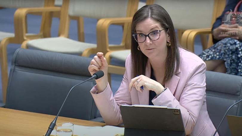 Australian Energy Regulator chair Clare Savage told the parliamentary committee that even if the process of establishing nuclear reactors began in 2025, much of the nation’s ‘coal fleet’ would not last until then.