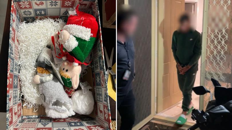 A 27-year-old Italian national will face jail after ketamine-stuffed Christmas toys were sent to his Coogee residence in Perth.