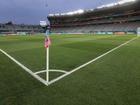 A Brazilian soccer fan has died and 12 were injured after a bus ambush in Sao Paulo state.