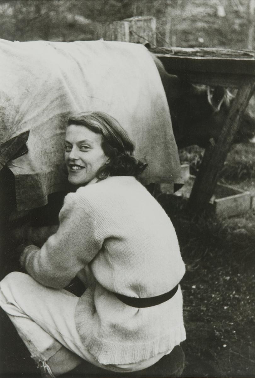 Albert Tucker's photograph Sunday Reed Milking, 1942.