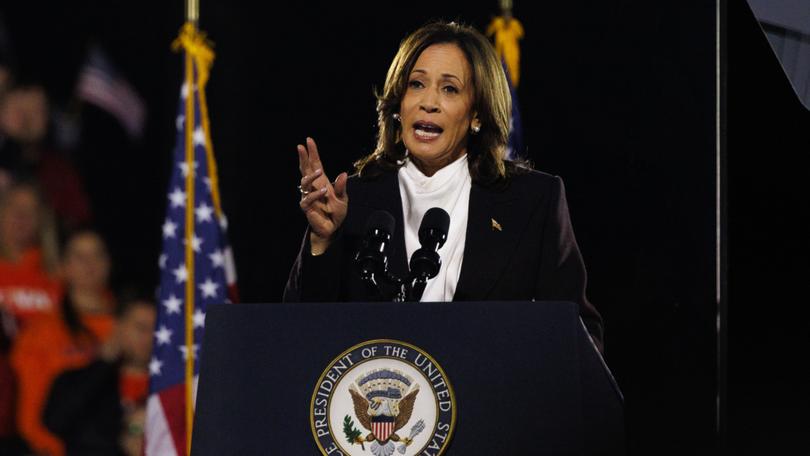 Vice President Kamala Harris gives her closing argument to a rally in Washington.