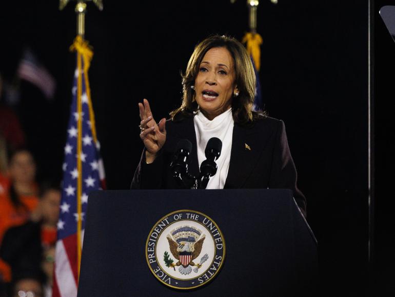 Vice President Kamala Harris gives her closing argument to a rally in Washington.