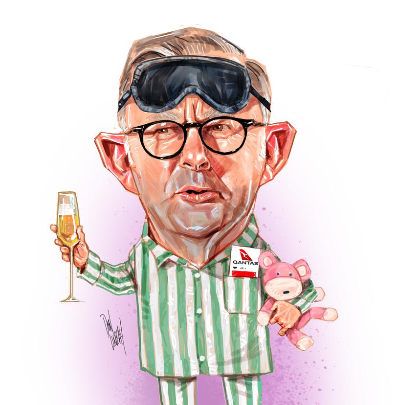 Albanese and Politician Perks.