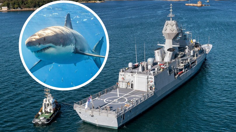 A woman required emergency assistance from a navy vessel after being mauled by a shark off the coast of central Queensland.