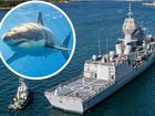 A woman required emergency assistance from a navy vessel after being mauled by a shark off the coast of central Queensland.