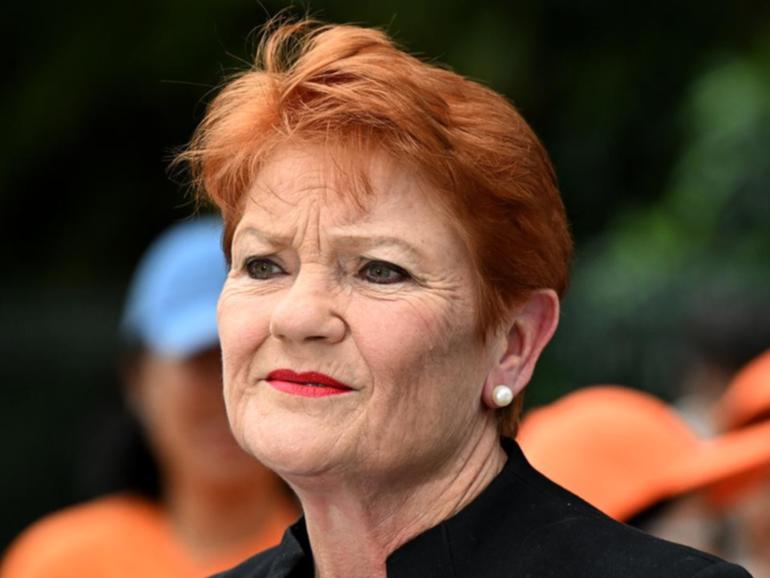 A judge will rule whether a tweet by Pauline Hanson breached the Racial Discrimination Act. (Darren England/AAP PHOTOS)