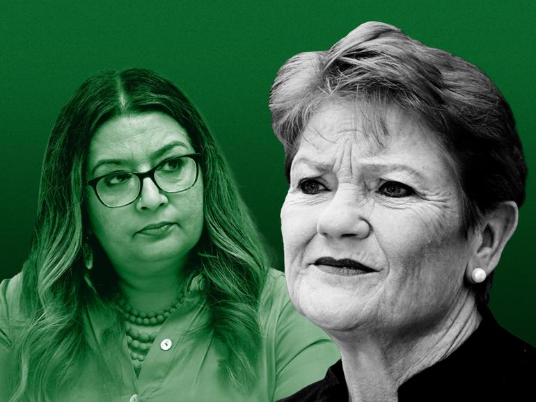 Greens senator Mehreen Faruqi successfully sued Pauline Hanson under racial discrimination laws.