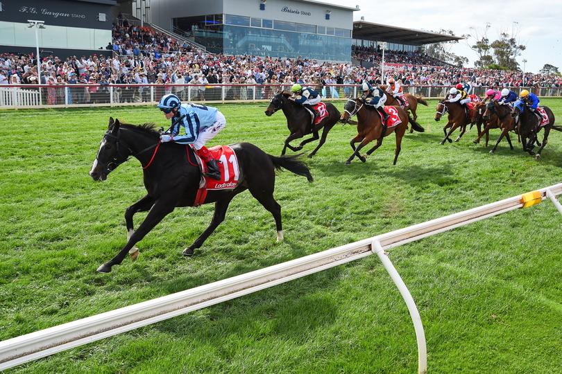 Onesmoothoperator (USA) ridden by Craig Williams wins the Ladbrokes Geelong Cup at Geelong Racecourse on October 23, 2024 in Geelong, Australia. (Reg Ryan/Racing Photos via Getty Images)