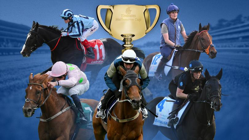 Buckaroo, Vauban, Onesmoothoperator, Sea King and Absurde are the top five horses punters are backing to win the Melbourne Cup.