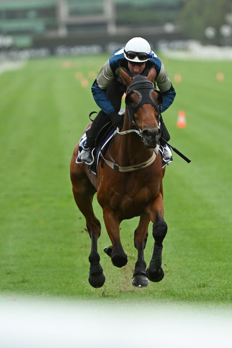 MELBOURNE, AUSTRALIA - OCTOBER 29: Steven Arnold riding Buckaroo during a track work session at Flemington Racecourse on October 29, 2024 in Melbourne, Australia. (Photo by Vince Caligiuri/Getty Images)