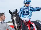 Craig Williams celebrates his Geelong Cup victory on import Onesmoothoperator. 