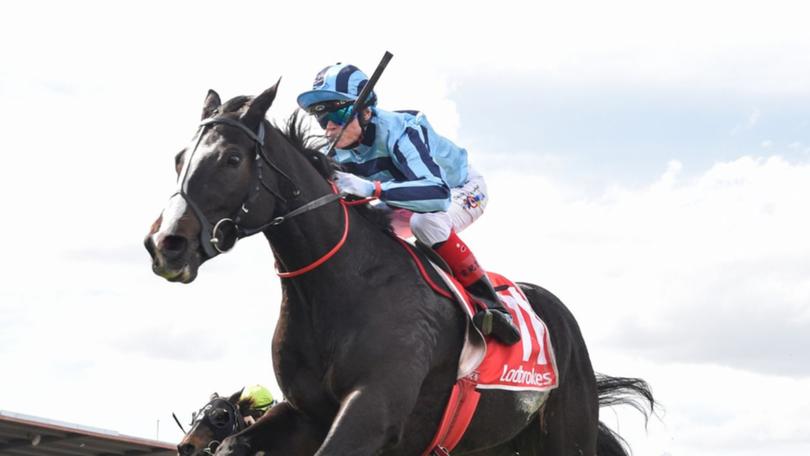 Top Melbourne Cup contender Onesmoothoperator has been declared fit to run in Tuesday’s famous $8 million race.