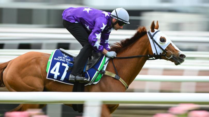 US import Mahrajaan has been  withdrawn from Tuesday’s Melbourne Cup.