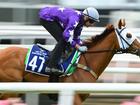 US import Mahrajaan has been  withdrawn from Tuesday’s Melbourne Cup.