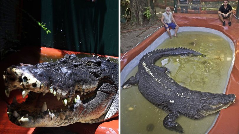 The crocodile was captured in the Finniss River near Darwin in the Northern Territory in 1984,