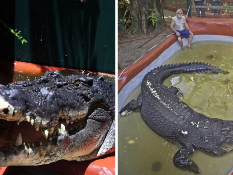 The crocodile was captured in the Finniss River near Darwin in the Northern Territory in 1984,