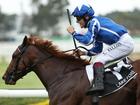 Lake Forest has come from the clouds to win the $10 million Golden Eagle at Rosehill Gardens on Saturday. 