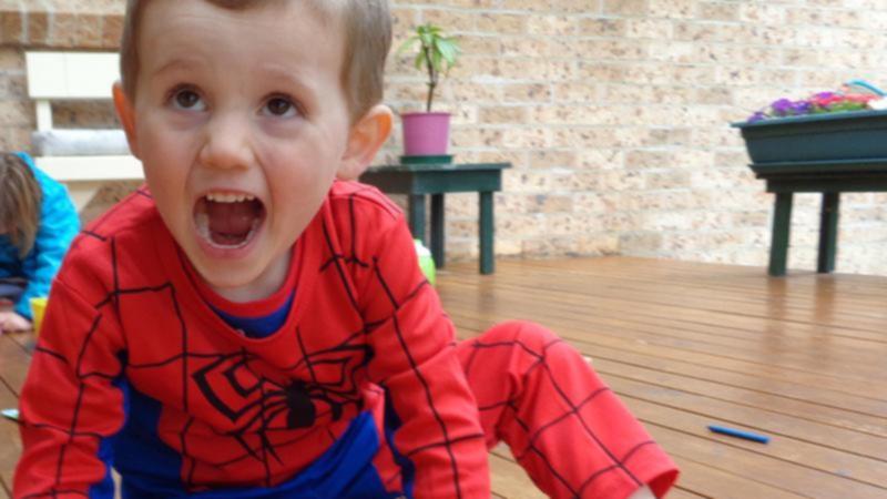 No trace of William Tyrrell - last seen wearing a Spider-Man suit - has been found. 