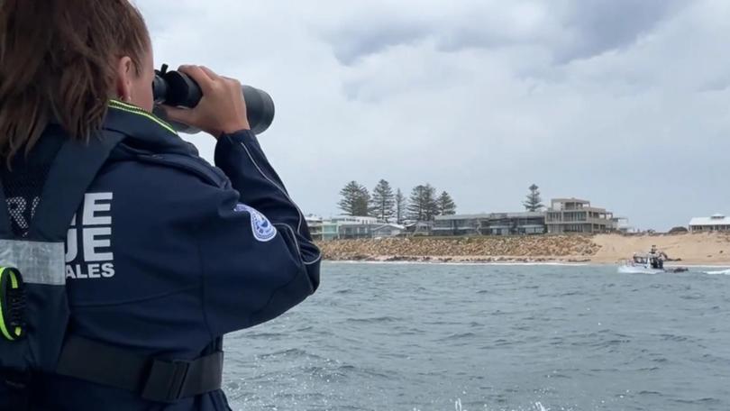 A search is resuming for a boy swept out to sea on the NSW Central Coast. 