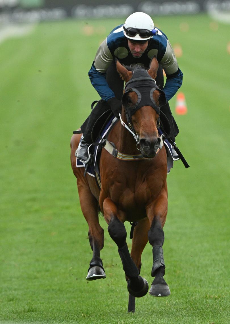 MELBOURNE, AUSTRALIA - OCTOBER 29: Steven Arnold riding Buckaroo during a trackwork session at Flemington Racecourse, on October 29, 2024 in Melbourne, Australia. (Photo by Vince Caligiuri/Getty Images)