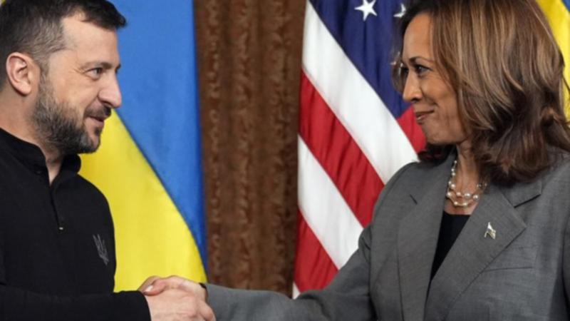 An election win for Kamala Harris, pictured with Ukrainian President Volodymyr Zelensky, may not necessarily be better than a Trump win, a former economy minister says.