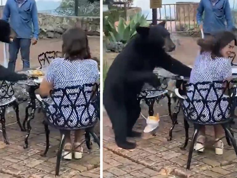 The black bear joins the couple for dinner before taking a swipe at the woman.