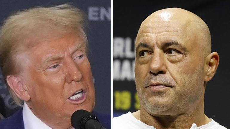 Joe Rogan joins celebrities such as Elon Musk to have endorsed Donald Trump. 