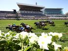 Robbie Dolan rides #11 Knight's Choice to Melbourne Cup glory.