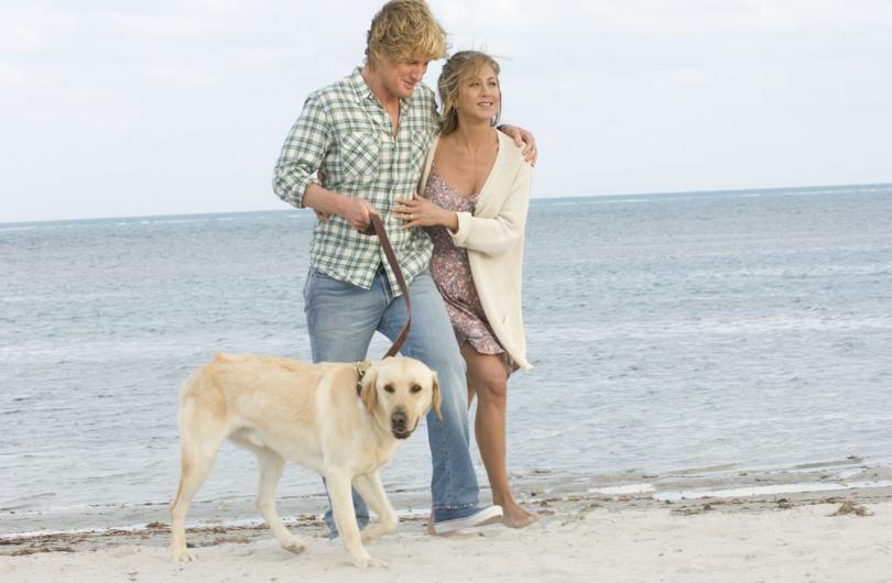 Marley & Me was released in 2008.